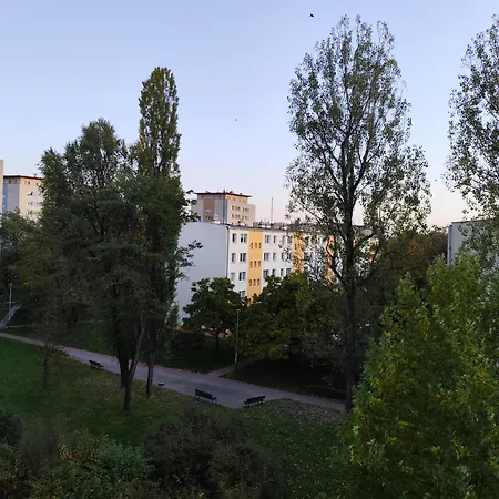 Albertynskie House *
